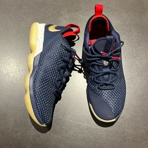 MENS NIKE LEBRON XIV LOW